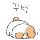 주식회사 루디우스게임즈 이미지