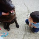 스타인목장 이미지