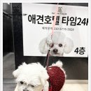 홍익돈까스(대구황금점) 이미지