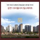 도안동 친수구역 근린생활시설 이미지