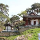 체락정 Daum카페
