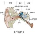 이석증과 헷갈리는 전정신경염 원인 증상 치료 완치될까? 이미지