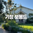 노을정원 | 부산 기장 대형 브런치 카페, 1만평규모 보몽드 기장 후기+주차