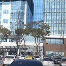 강원랜드골프클럽 이미지