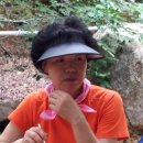 대저초등학교 이미지