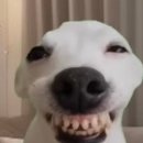 시블링즈 이미지