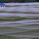 수원-0903 이미지