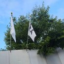 다도게이트볼장기타 | [WOODZ] 250906 렛츠락 페스티벌 후기: 난지에서 비로 샤워하기 (feat. 기우제맛집)