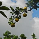 성동노인복지관 이미지