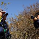 구불7길(신시도길) 이미지