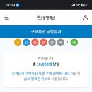 로또를 사다 이미지