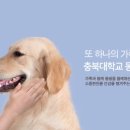 세종충북대학교 동물병원 이미지