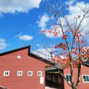 천문대오토캠핑장 이미지