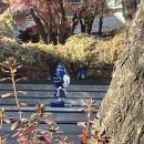 2025 편입시험 후기 2탄 (학교별 후기)