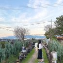 김해대로 2505번길 | 김해 파란풍선 꽃다발 풍선으로 맞이한 내 생일