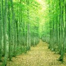 별장모텔 이미지