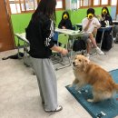 수락중학교