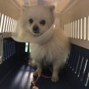 병산마을회관 이미지