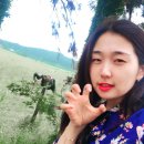 나의목장 2농장 이미지