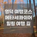 장상국 | 영덕 여행 코스 추천 메타세콰이어길 주차 입장료 산책로 후기