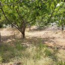 대소원면사무소 이미지