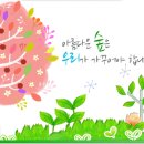 (사)태백생명의숲 이미지