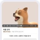 제일기획 파이낸셜뉴스