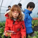 질울고래실마을 이미지