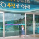 부천물박물관 | 부천 물박물관 물체험관 주차 운영시간 관람료 사전 예약 인천 부천 아이들데리고 갈만한 곳 후기