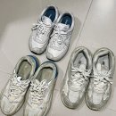 군위세탁소 | [대구]수거하고 배달까지 편하게 대구 운동화 세탁 가능한 뽀송이운동화세탁