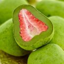 26년 비트로팀 첫 모임 12월 29일 이미지