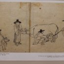 청도소싸움테마파크 이미지