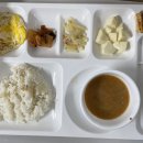 2023.04.13-백미밥,된장찌개,감자채볶음,사과샐러드,두부조림,배추김치,계란후라이 이미지