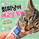 세븐일레븐 광흥창역점 | [고양이 츄르 추천] 동원참치 츄르 후기🐱 회피냥도 애교냥 만드는 간식_내돈내산 (뉴트리 스틱)