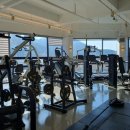 어뮤즈핏 이미지