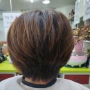엘림 헤어샵