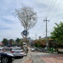 오늘부로 군산은 제게 집이라고 부르는 도시가 됐습니다. 이미지