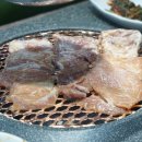 녹돼야지