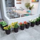 전주효천초등학교 이미지