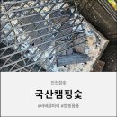 진천참숯 | 진천참숯 캠핑숯 3kg 후기 국산 바베큐용 참숯으로 불이 꺼지지 않는 완벽한 캠핑 바베큐 즐기기