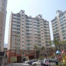 대관령로 이미지