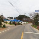 원용목장 Daum카페