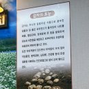 화곡역 막국수 맛집 추천 화곡강산면옥 내돈내산 솔직후기 화곡강산옥