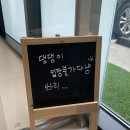 낭만고양이병원 이미지