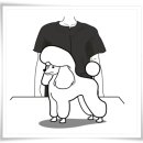 반려견스타일리스트 자격취득과정-기초 이미지