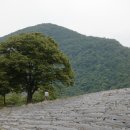 강변소풍민박 이미지