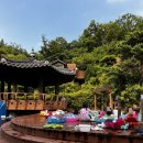 숲속애애플트리 이미지