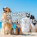 아름다운동물병원 | 반려동물과 함께 떠나는 국내 여행지 추천 2026: 펫 프렌들리 숙소부터 맛집까지