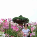 송파구 올림픽공원 들꽃마루 (2015.09.12) 이미지