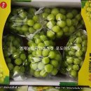 영재농장 이미지